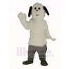 Weiß Zottelig Maggy Hund Maskottchen Kostüm Tier