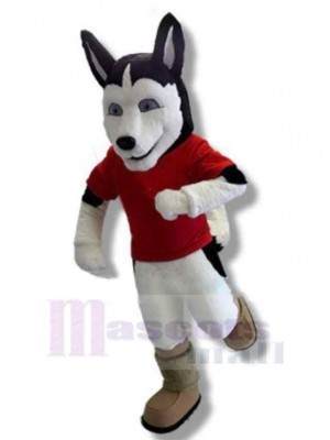 Rennender Husky-Hund Maskottchen Kostüm Tier