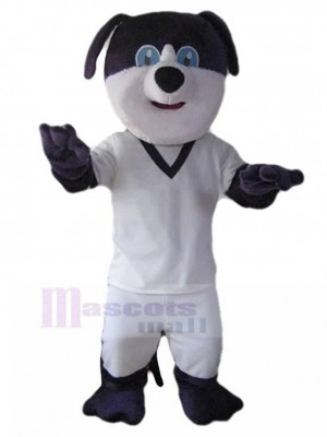 Freundliches schwarz-weißes Hundemaskottchen-Kostüm im weißen T-Shirt Tier