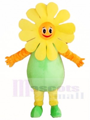 Sonnenblume Maskottchen Kostüme Pflanze